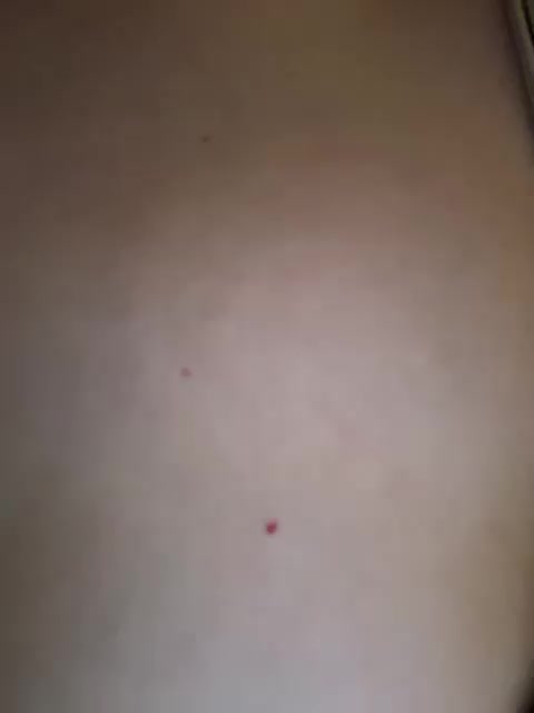 PornoHuk Adult Chat July 28, 2025