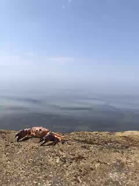 MamaKoska Adult Chat July 29, 2025