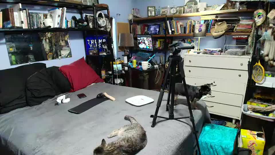 pink_black Adult Chat July 14, 2025