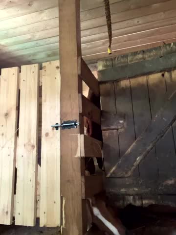 MiraReach Adult Chat July 30, 2025