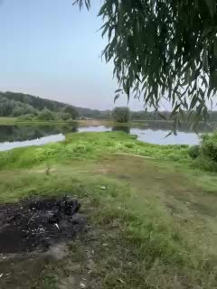 Art_cam Adult Chat July 29, 2025