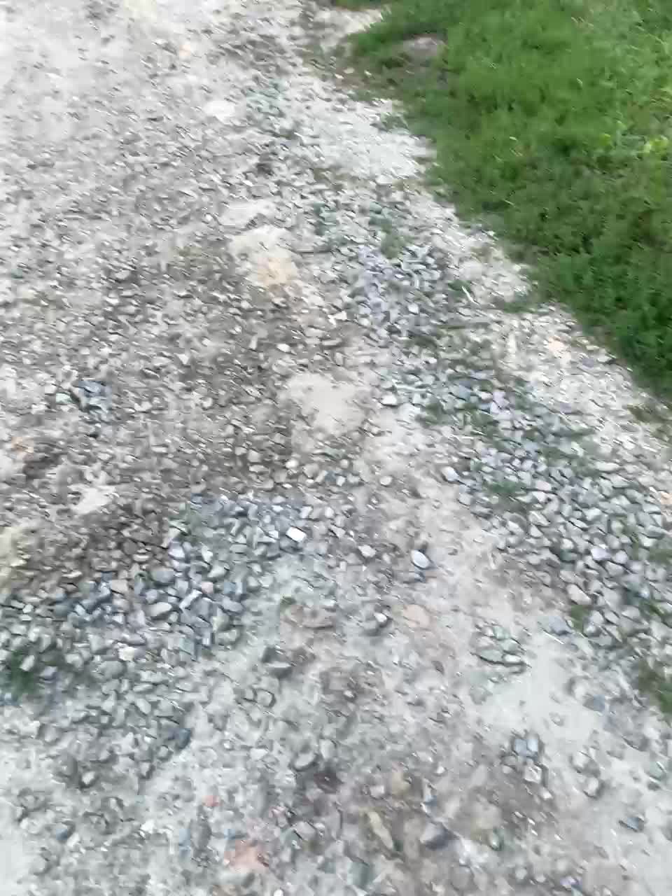 SweetCoople Adult Chat July 25, 2025