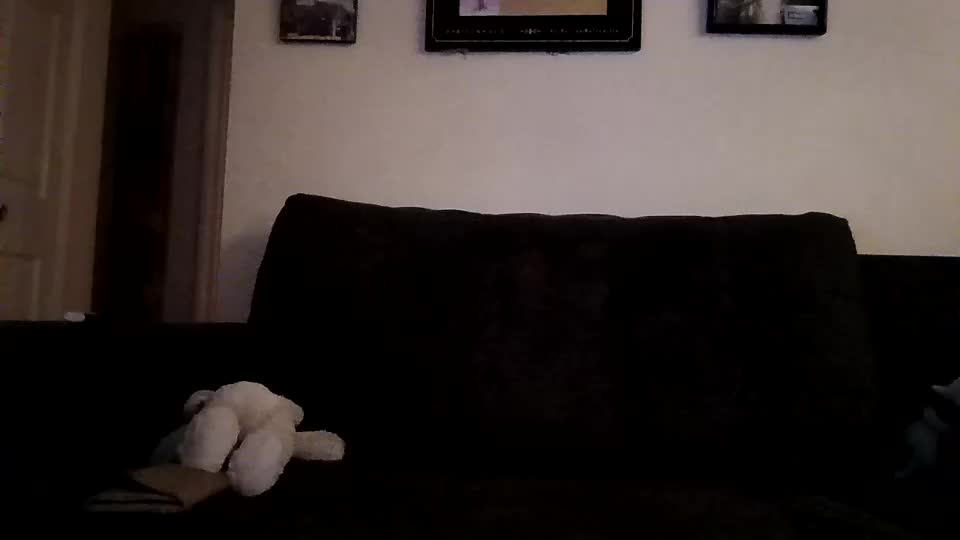 lacybell Adult Chat July 30, 2025