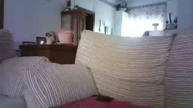 lolahueso Adult Chat July 24, 2025