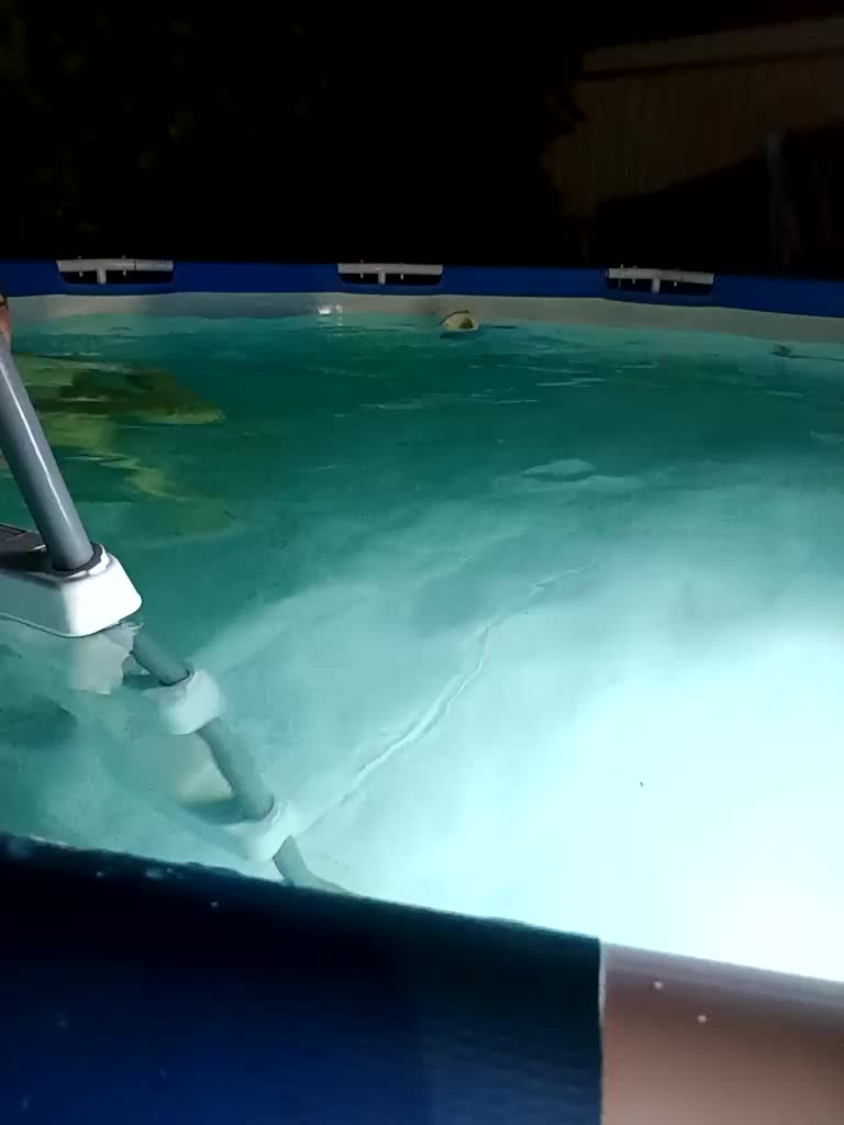 RosFair Adult Chat July 25, 2025