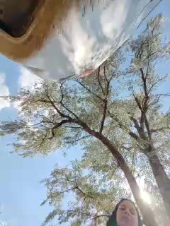 Cleopatra1990 Adult Chat July 26, 2025