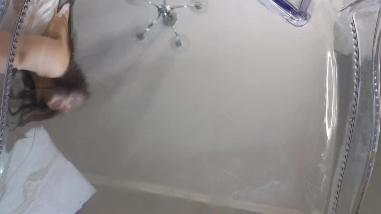 cecelia-love Adult Chat July 29, 2025