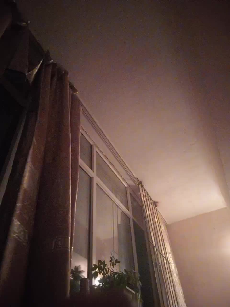 Diana17Eg Adult Chat July 24, 2025