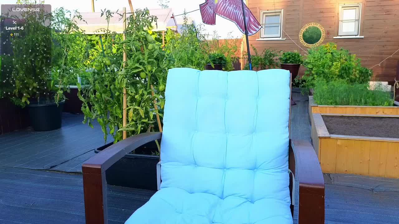 misss-vikki Adult Chat July 30, 2025