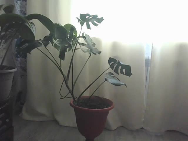 Danozka Adult Chat July 30, 2025