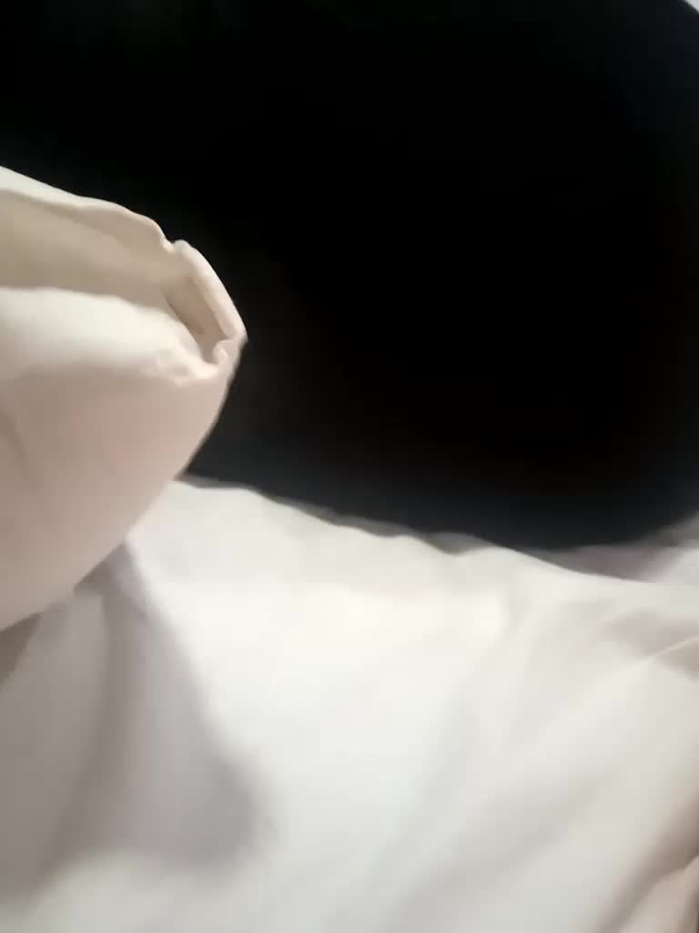 AlexAlex303 Adult Chat July 29, 2025