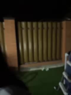 SladenkieVmeste Adult Chat July 23, 2025