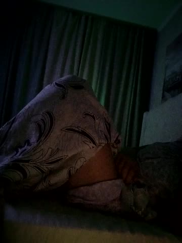 ROXOLANAA_SEXY Adult Chat July 13, 2025