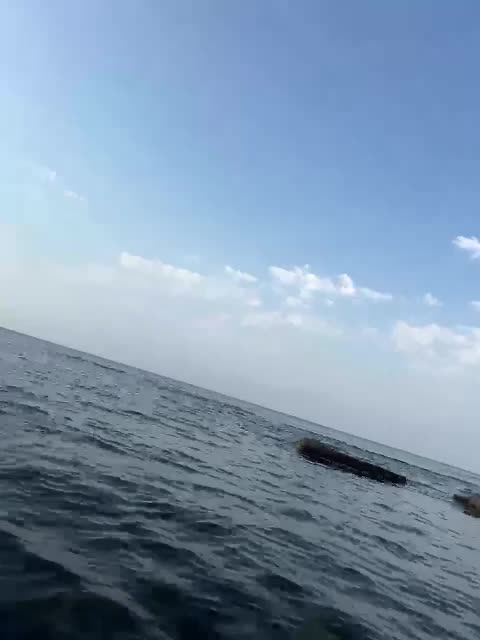 MamaKoska Adult Chat July 30, 2025