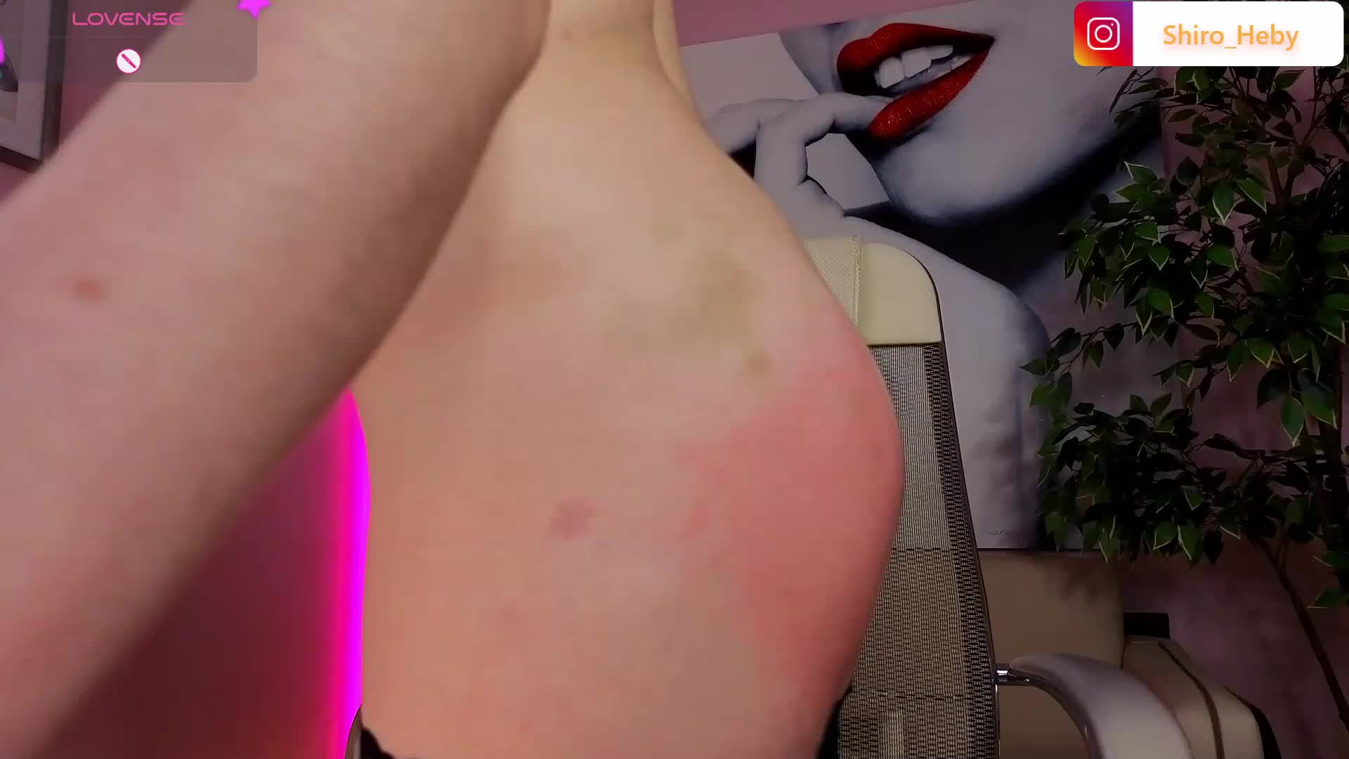 ShiroHeby Adult Chat July 29, 2025