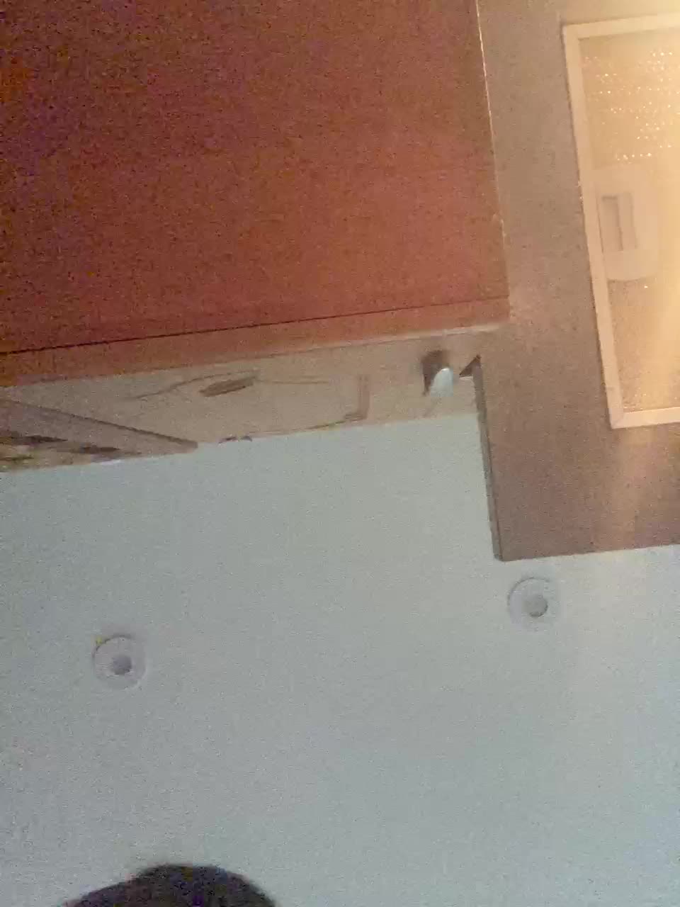 pizzahott Adult Chat July 30, 2025