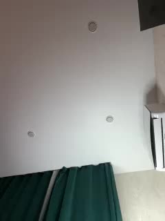 Ellidi Adult Chat July 29, 2025