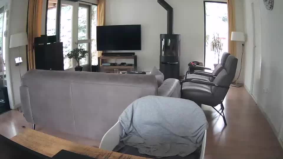 woodwurm Adult Chat July 29, 2025