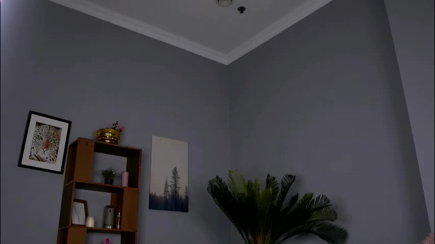 cataleyakirk Adult Chat July 26, 2025