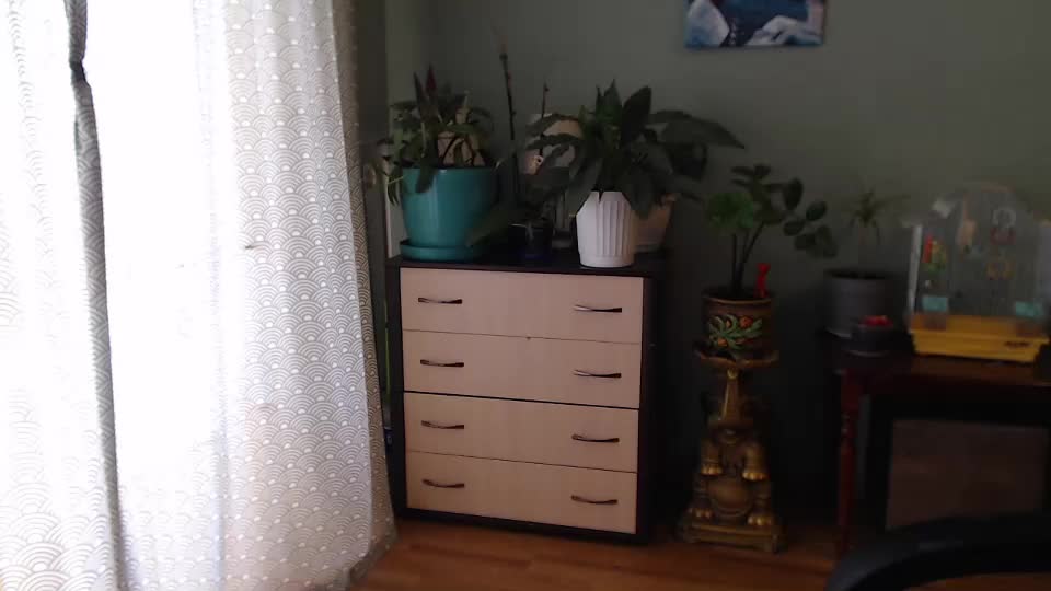 nika_black111 Adult Chat July 30, 2025