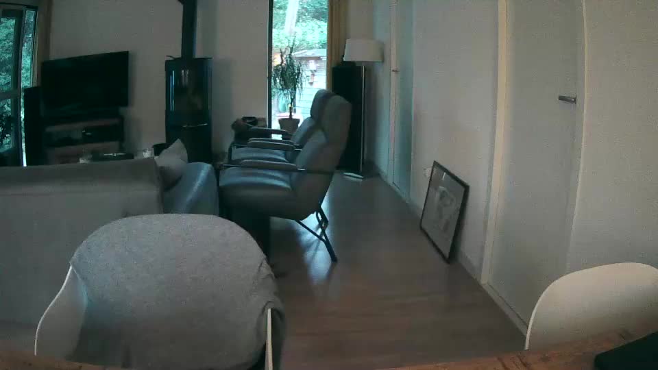 woodwurm Adult Chat July 26, 2025