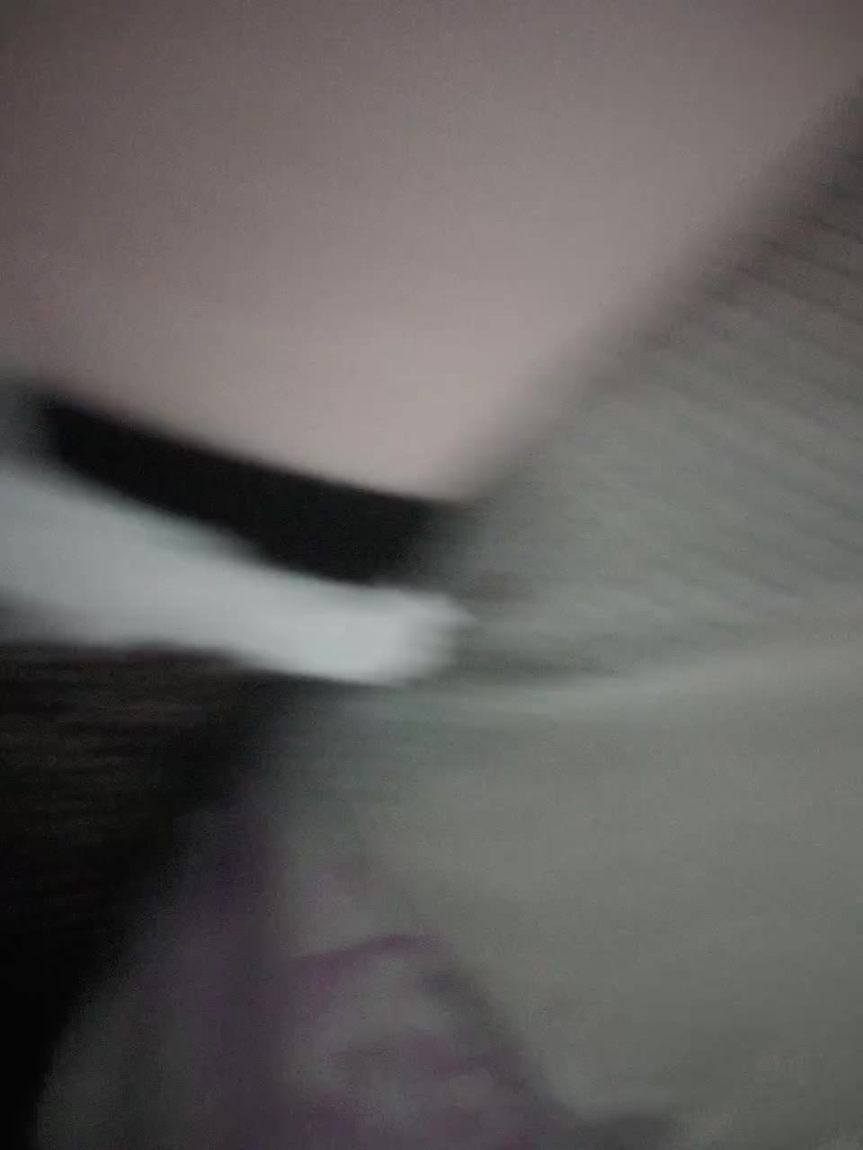 Diana17Eg Adult Chat July 25, 2025