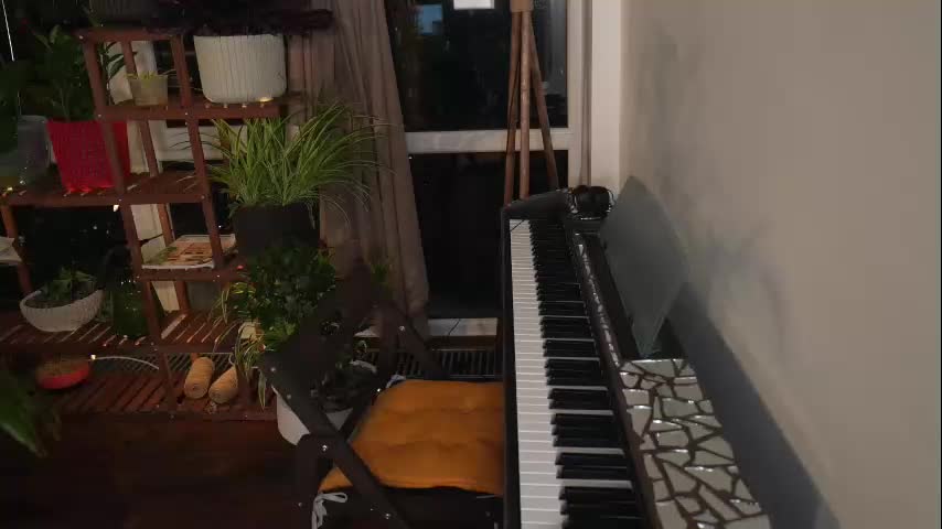 heybanan Adult Chat July 7, 2025