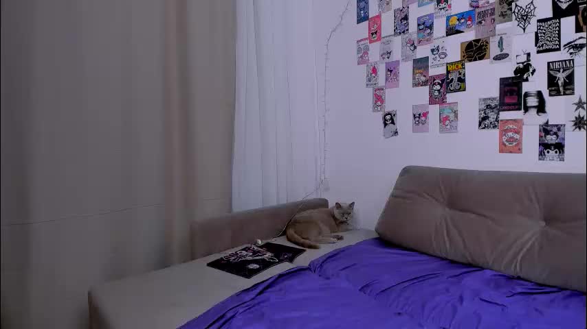 ladytrep Adult Chat July 26, 2025