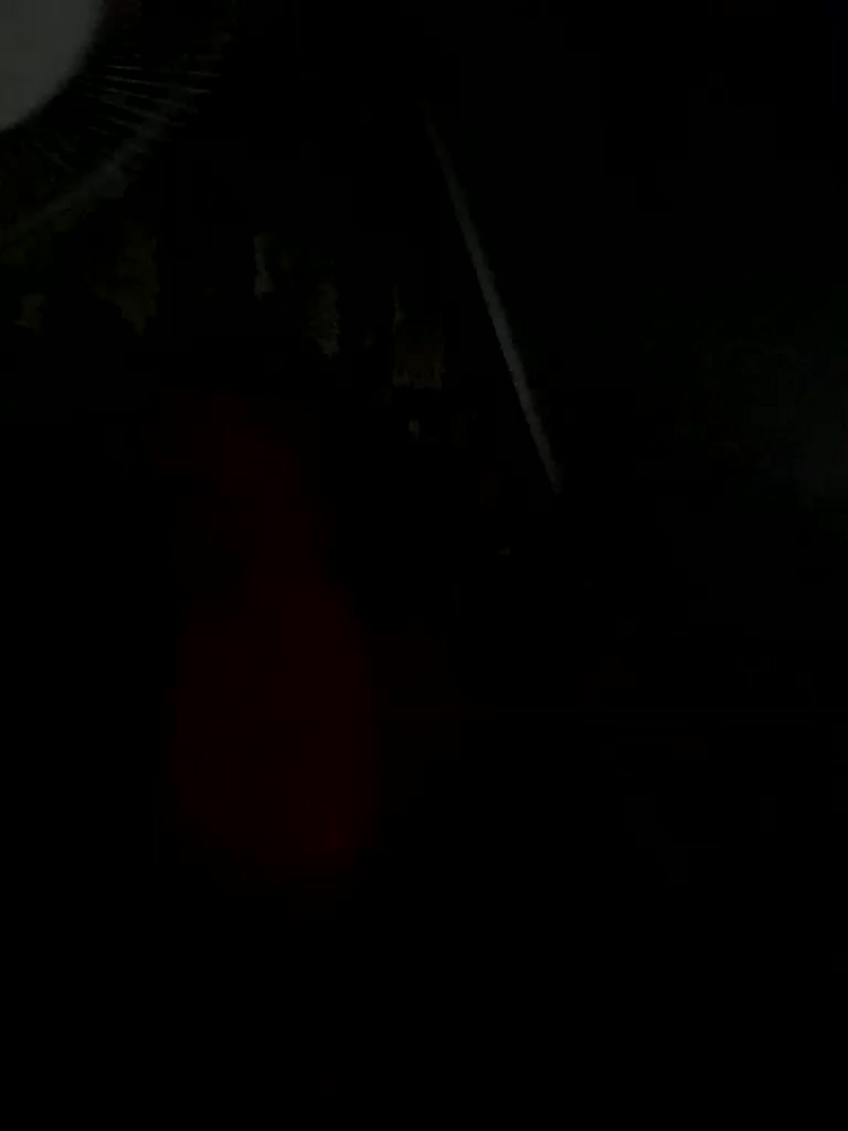 AdelinaTaylorsan Adult Chat July 29, 2025