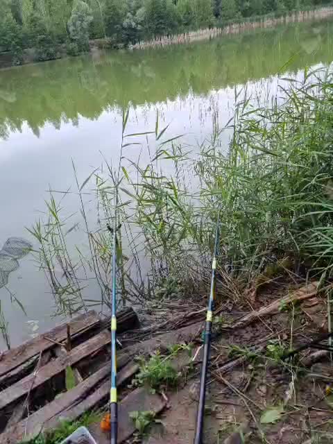 Hotpepper-Sweetpepper Adult Chat July 21, 2025