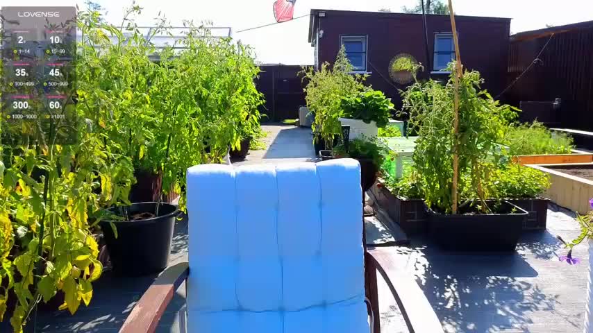 Misss_Vikk Adult Chat July 30, 2025