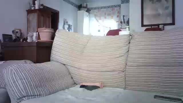 lolahueso Adult Chat July 21, 2025