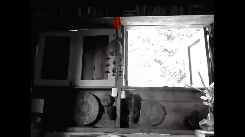 sexnchocolate Adult Chat July 29, 2025