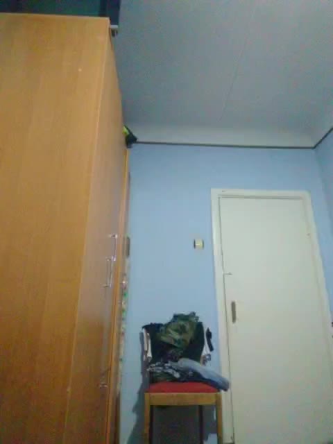 Vitalss198 Adult Chat July 29, 2025