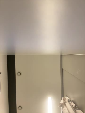 RinaCat Adult Chat July 30, 2025