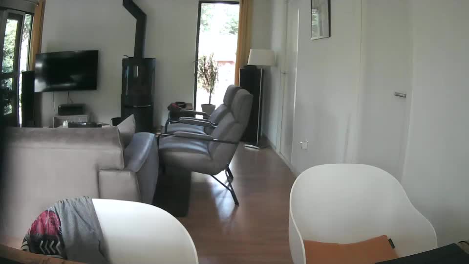 woodwurm Adult Chat July 20, 2025