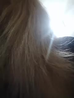 Victoria-sexi Adult Chat July 29, 2025