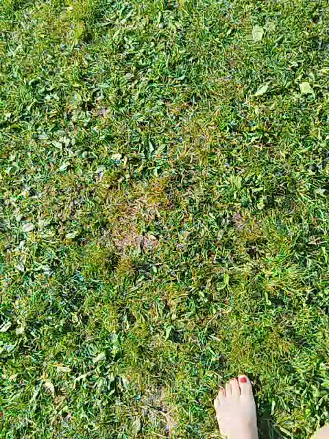 EVIL_TITS Adult Chat July 30, 2025