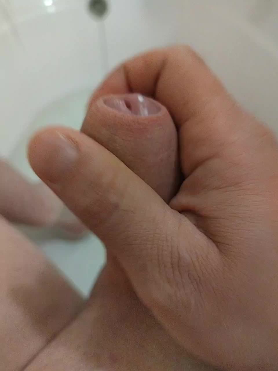 Lolik901 Adult Chat July 22, 2025