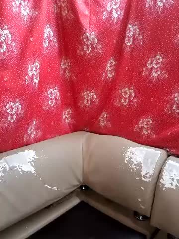 Zuli_Kiska Adult Chat July 29, 2025