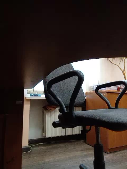 GolayaPravda Adult Chat July 29, 2025