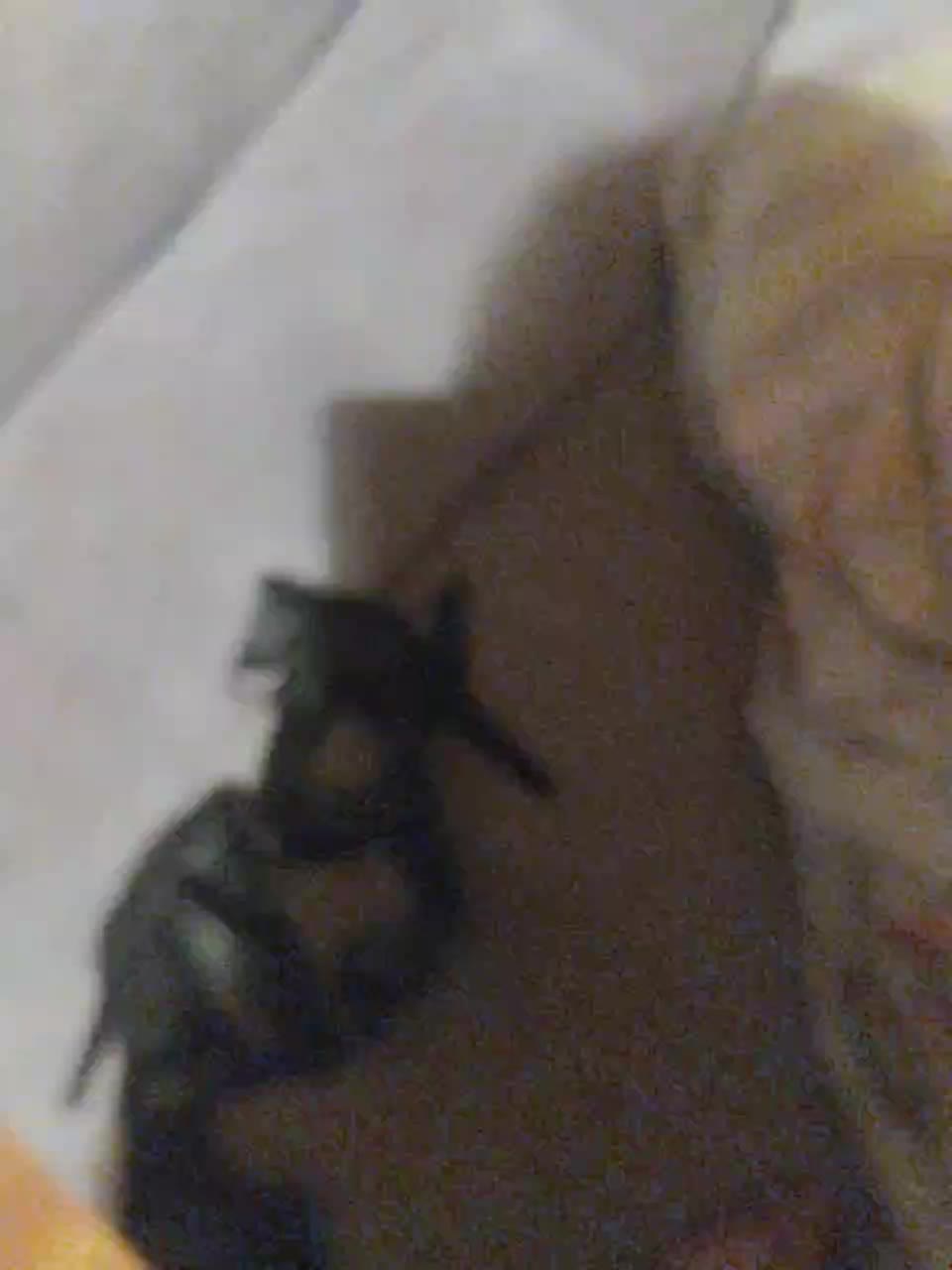 SexxxyDevilandGod Adult Chat July 25, 2025