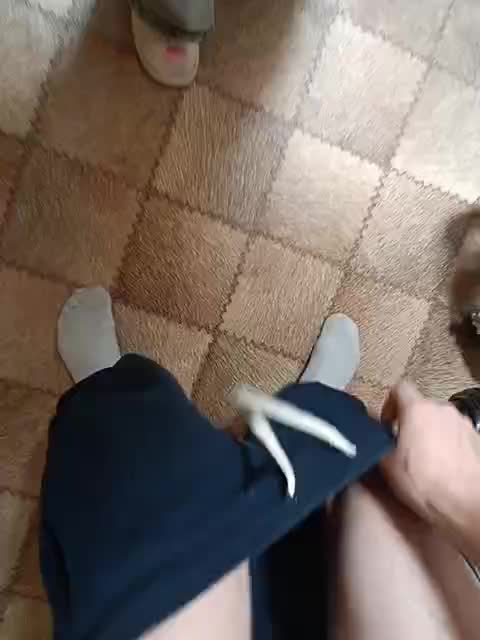 ARIHSA Adult Chat July 28, 2025