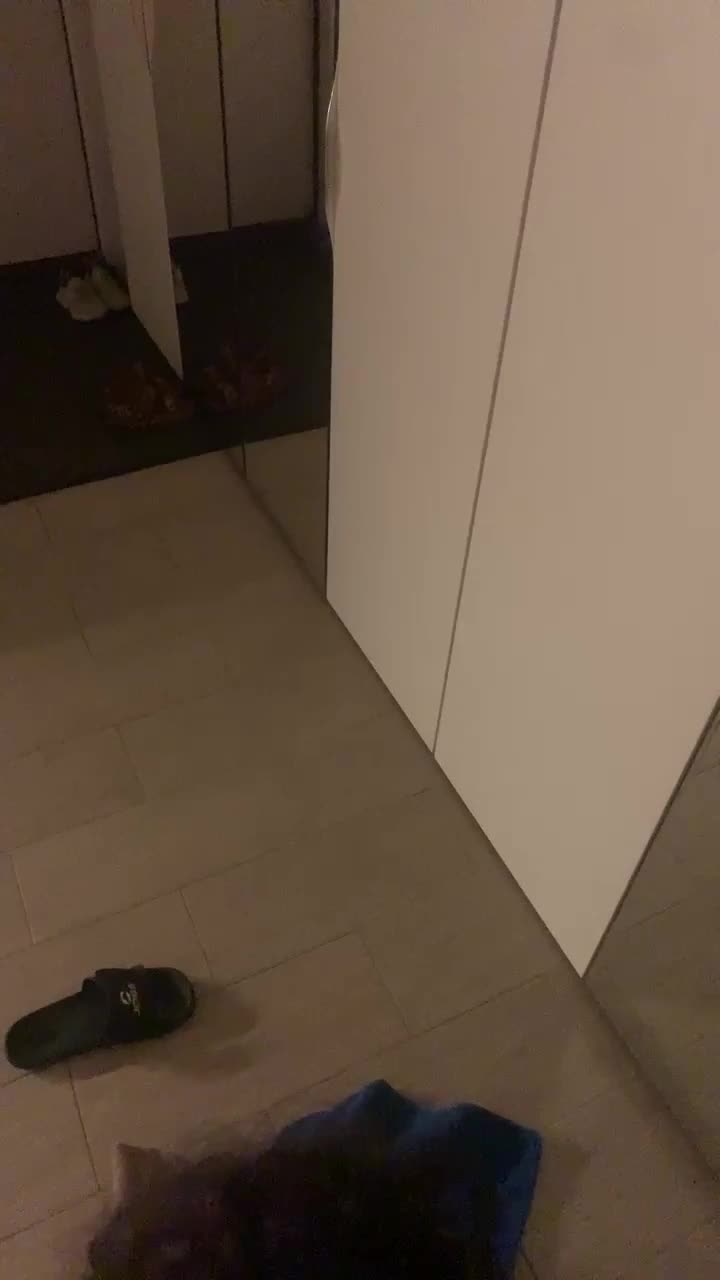 Slimus69 Adult Chat July 22, 2025