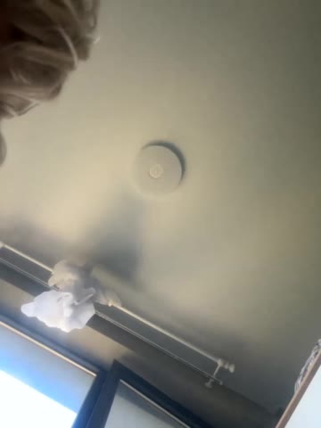 Kinesha Adult Chat July 30, 2025