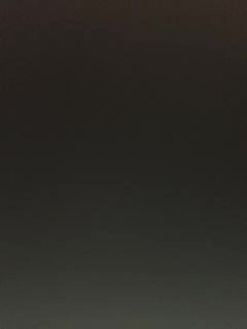 -Jolly- Adult Chat July 30, 2025