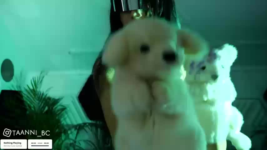 taanni_bc Adult Chat July 30, 2025