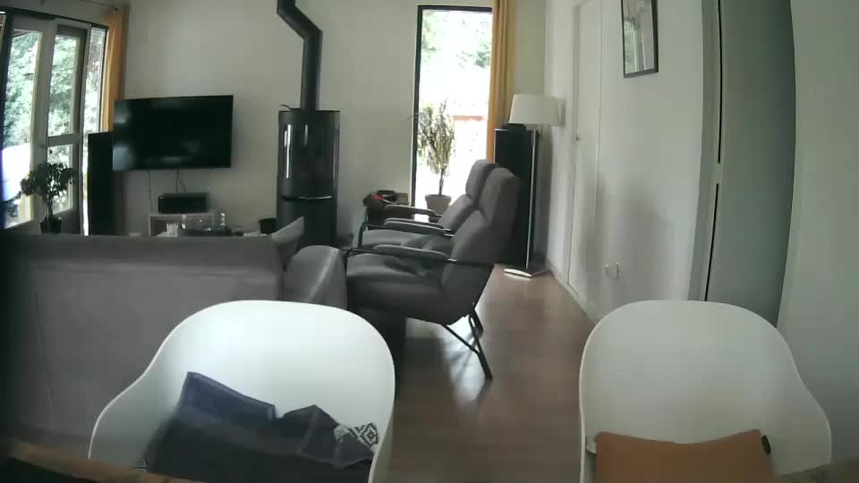 woodwurm Adult Chat July 19, 2025