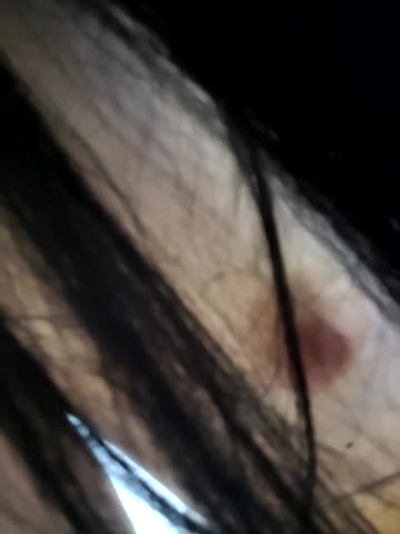 AlisaDoll444 Adult Chat July 30, 2025