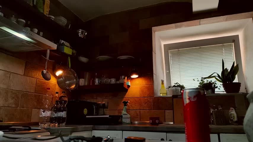 FENIX_ZLA Adult Chat July 30, 2025